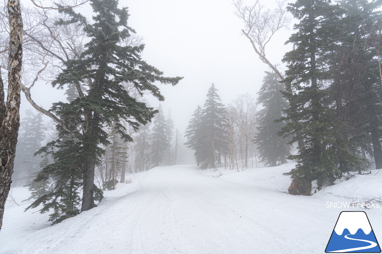 大雪山層雲峡・黒岳ロープウェイスキー場｜真っ白な『霧』に包まれた雲上のゲレンデ。春スキー＆スノーボードを楽しむなら、今がおススメです(^^)v